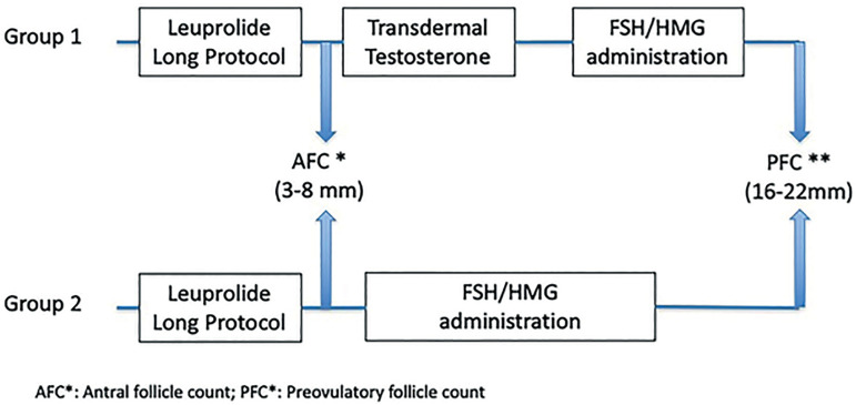 The Follicular Output Rate (FORT) as a method to evaluate transdermal testosterone efficacy in poor responders.