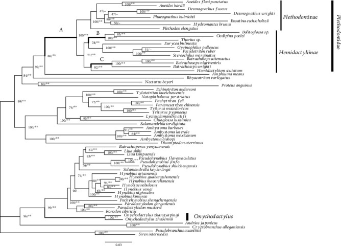 Patterns of Natural Selection on Mitochondrial Protein-Coding Genes in Lungless Salamanders: Relaxed Purifying Selection and Presence of Positively Selected Codon Sites in the Family Plethodontidae.