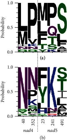 Patterns of Natural Selection on Mitochondrial Protein-Coding Genes in Lungless Salamanders: Relaxed Purifying Selection and Presence of Positively Selected Codon Sites in the Family Plethodontidae.