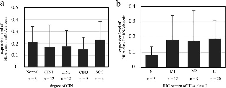 Altered Immunohistochemical Expression Patterns of HLA Class I during the Clinical Course of Cervical Intraepithelial Neoplasia.