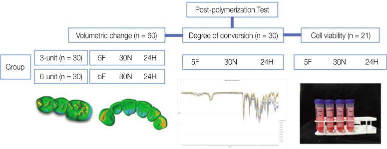 Comparing volumetric and biological aspects of 3D-printed interim restorations under various post-curing modes.