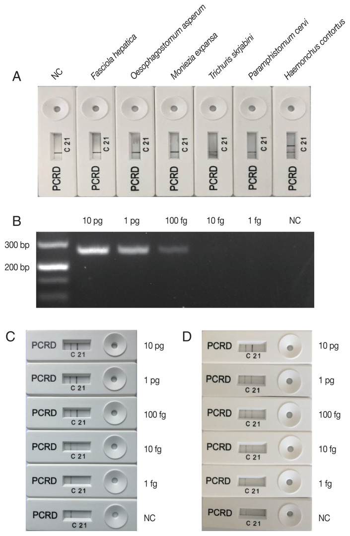 Development of a Lateral Flow Strip-Based Recombinase Polymerase Amplification Assay for the Detection of Haemonchus contortus in Goat Feces.