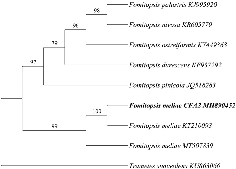 <i>Fomitopsis meliae</i> CFA 2, a novel brown rot for endoglucanase: emphasis towards enhanced endoglucanase production by statistical approach.