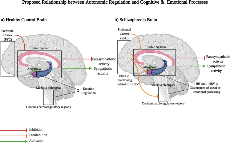 Autonomic nervous system dysfunction in schizophrenia: impact on cognitive and metabolic health.