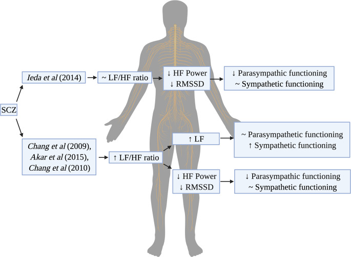 Autonomic nervous system dysfunction in schizophrenia: impact on cognitive and metabolic health.