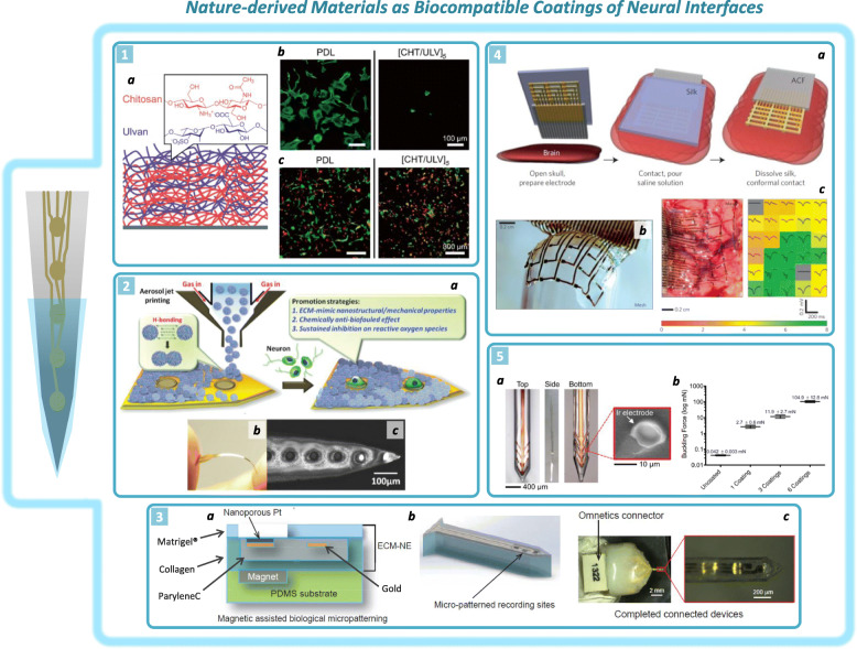 Progress and challenges of implantable neural interfaces based on nature-derived materials.