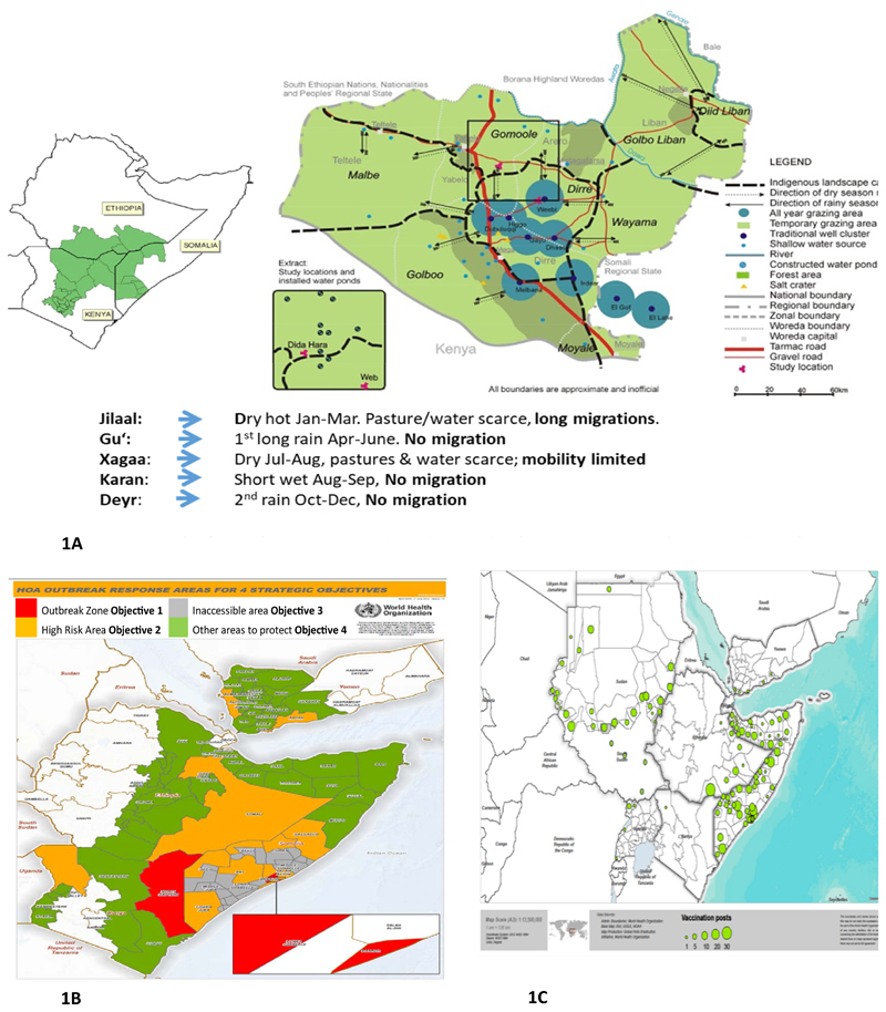 Lessons Learnt from Interregional and Interagency Collaboration in Polio Outbreak Response in the Horn of Africa.