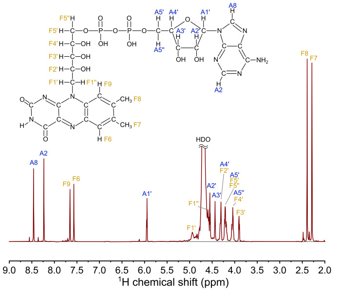 Exchange interaction in short-lived flavine adenine dinucleotide biradical in aqueous solution revisited by CIDNP (chemically induced dynamic nuclear polarization) and nuclear magnetic relaxation dispersion.