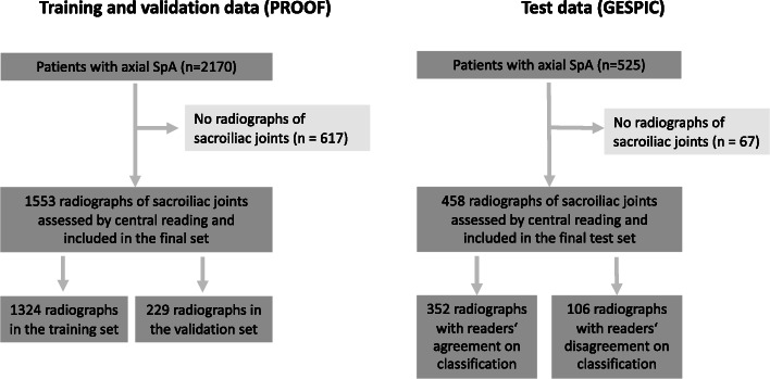 Deep learning for detection of radiographic sacroiliitis: achieving expert-level performance.