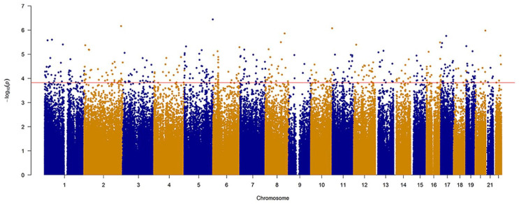 DNA Methylation at Birth is Associated with Childhood Serum Immunoglobulin E Levels.