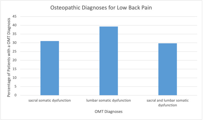 A Closer Look into the Association between the Sacroiliac Joint and Low Back Pain.