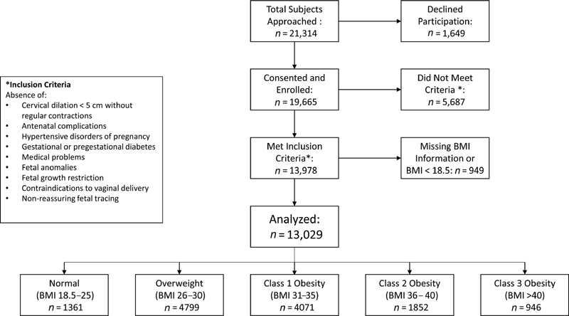 Association between Maternal Obesity Class, Adherence to Labor Guidelines, and Perinatal Outcomes.