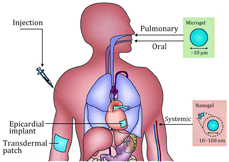 Potential of adipose derived stem cell preparations in neurological repair and regeneration.