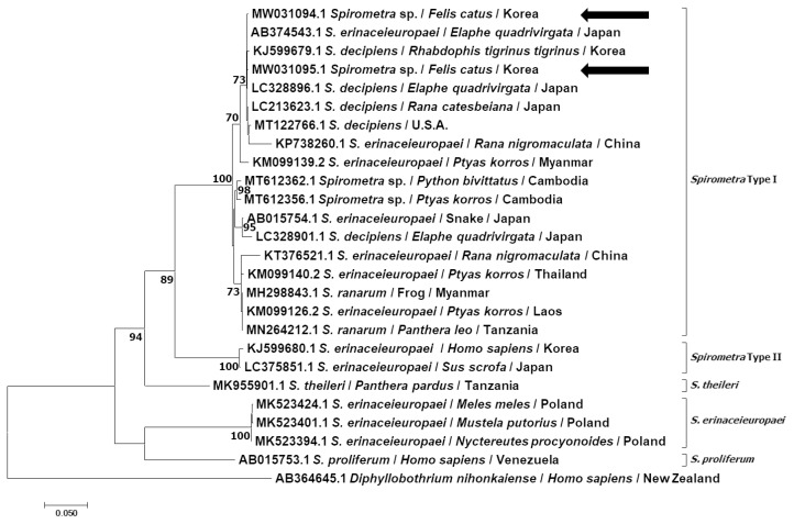 First Clinical Cases of Spirometrosis in Two Cats in Korea.