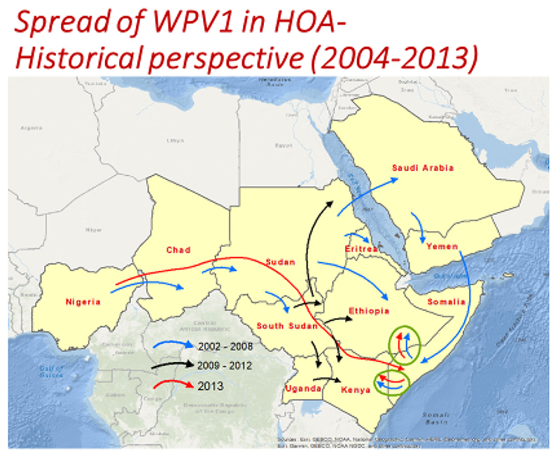 Effectiveness of the Horn of Africa Polio Outbreak Coordination Office in Nairobi, Kenya.