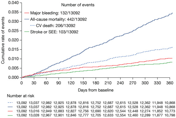 Edoxaban for stroke prevention in atrial fibrillation in routine clinical care: 1-year follow-up of the prospective observational ETNA-AF-Europe study.