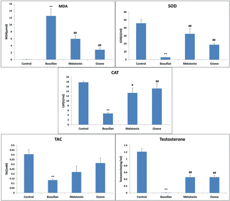 The effects of ozone and melatonin on busulfan-induced testicular damage in mice.