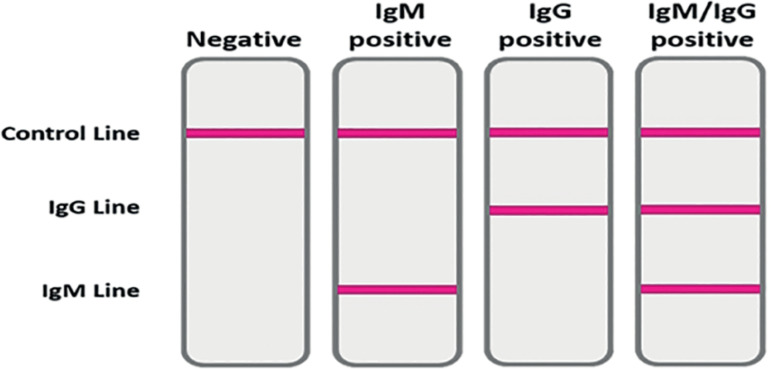 COVID-19: A review and considerations for the resumption of activities in an IVF laboratory and clinic in Brazil.