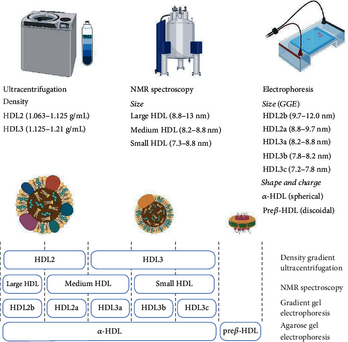 Changing Perspectives on HDL: From Simple Quantity Measurements to Functional Quality Assessment.