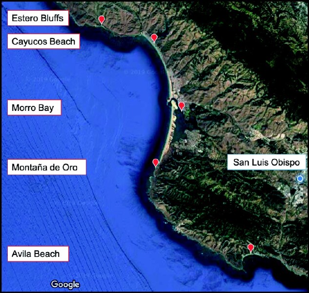 Effects of Intertidal Position on Metabolism and Behavior in the Acorn Barnacle, <i>Balanus glandula</i>.