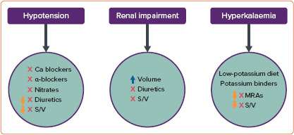 Rationale for and Practical Use of Sacubitril/Valsartan in the Patient's Journey with Heart Failure and Reduced Ejection Fraction.