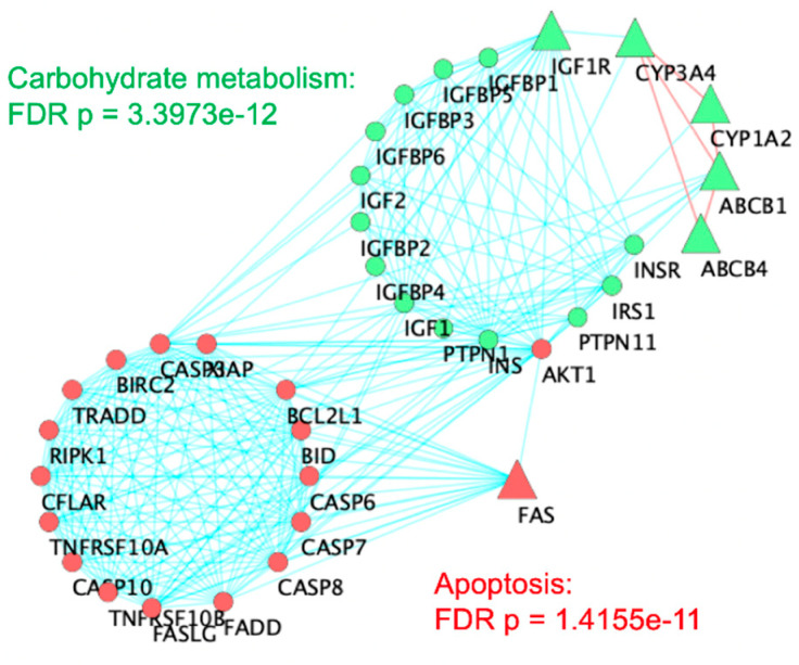 In Silico Exploration of the Potential Role of Acetaminophen and Pesticides in the Etiology of Autism Spectrum Disorder.
