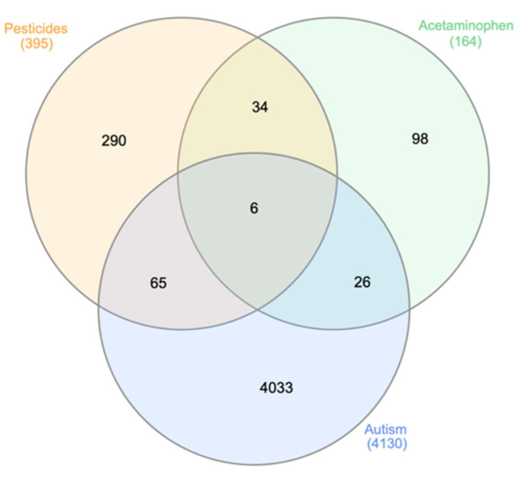 In Silico Exploration of the Potential Role of Acetaminophen and Pesticides in the Etiology of Autism Spectrum Disorder.