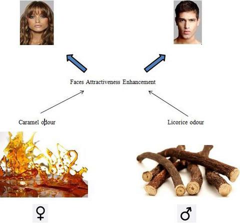 A preliminary study on the effect of gender-matched odours on the evaluation of emotional, cognitive and aesthetic characteristics of faces