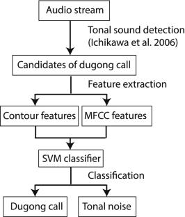 Automated Classification of Dugong Calls and Tonal Noise by Combining Contour and MFCC Features