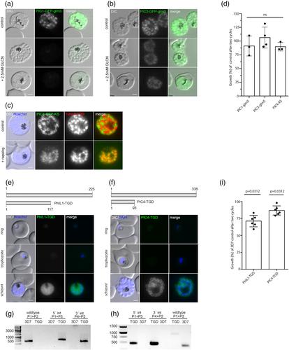 Identification of novel inner membrane complex and apical annuli proteins of the malaria parasite Plasmodium falciparum