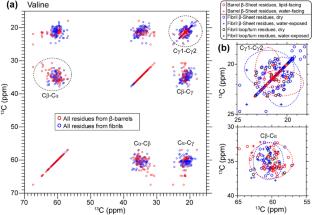 Comparative analysis of 13C chemical shifts of β-sheet amyloid proteins and outer membrane proteins