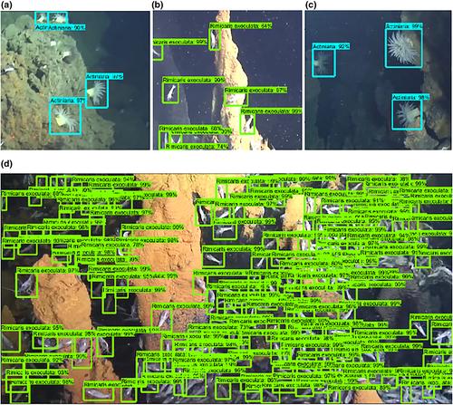 Deep learning techniques-based perfection of multi-sensor fusion oriented human-robot interaction system for identification of dense organisms