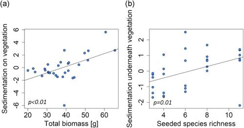 Effects of plant species identity override diversity effects in explaining sedimentation within vegetation in a flume experiment