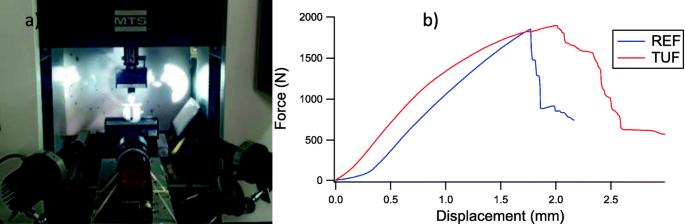 Investigation of the effect of tufts contribution on the in-plane mechanical properties of flax fibre reinforced green biocomposite