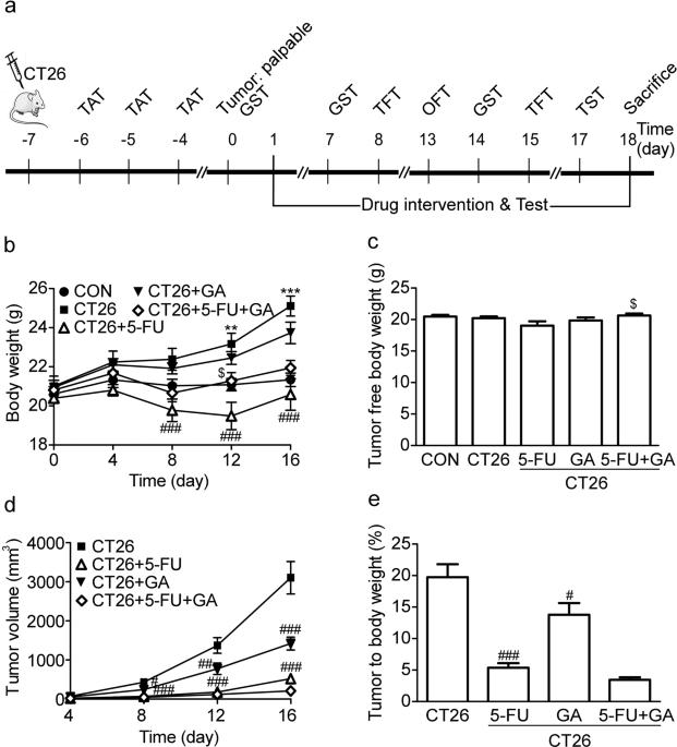 Ganoderic acid alleviates chemotherapy-induced fatigue in mice bearing colon tumor