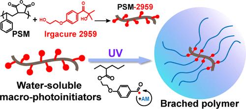 Synthesis and Characterization of a Novel Kind of Water-Soluble Macromolecular Photoinitiators and Their Application for the Preparation of Water-Soluble Branched Polymers