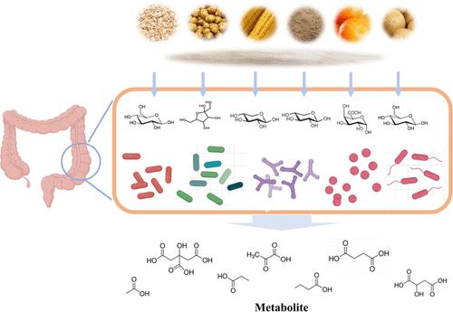 Comparison of Different Soluble Dietary Fibers during the In Vitro Fermentation Process