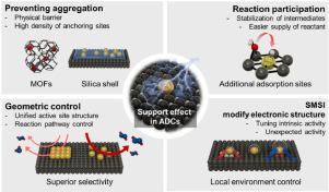 Effects of functional supports on efficiency and stability of atomically dispersed noble-metal electrocatalysts