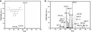 Morphology Controllable Fabrication of Tungsten Oxide for Enhanced Photocatalytic Performance