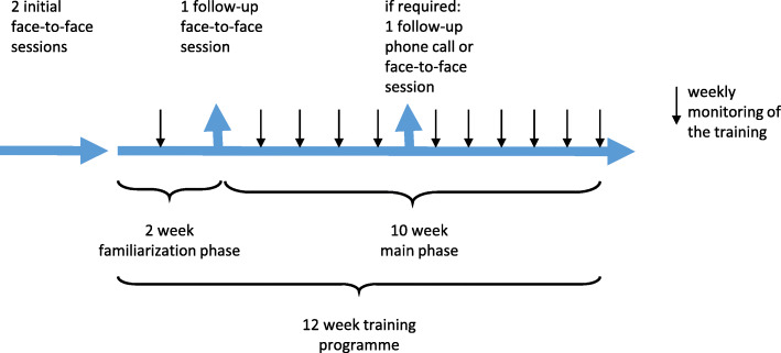 Feasibility of a blended therapy approach in the treatment of patients with inflammatory myopathies.