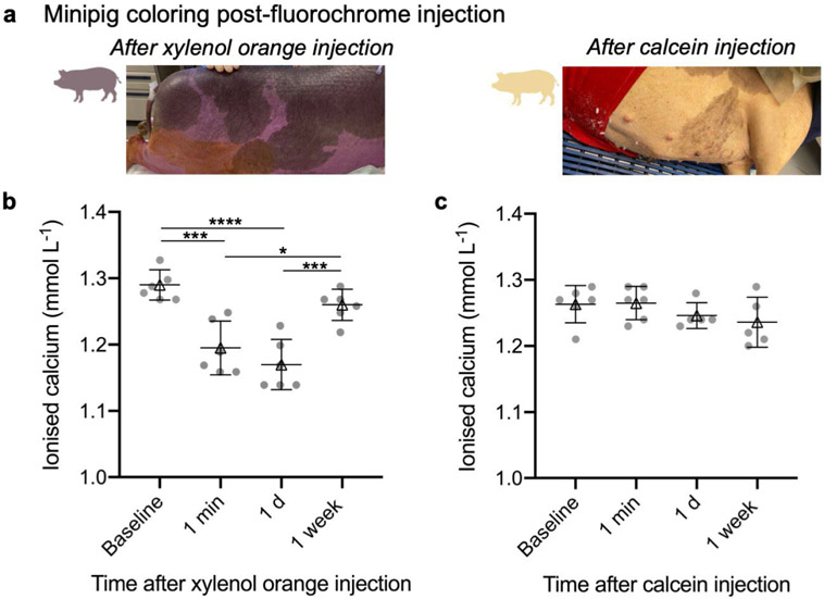 Marked differences in local bone remodelling in response to different marrow stimulation techniques in a large animal.