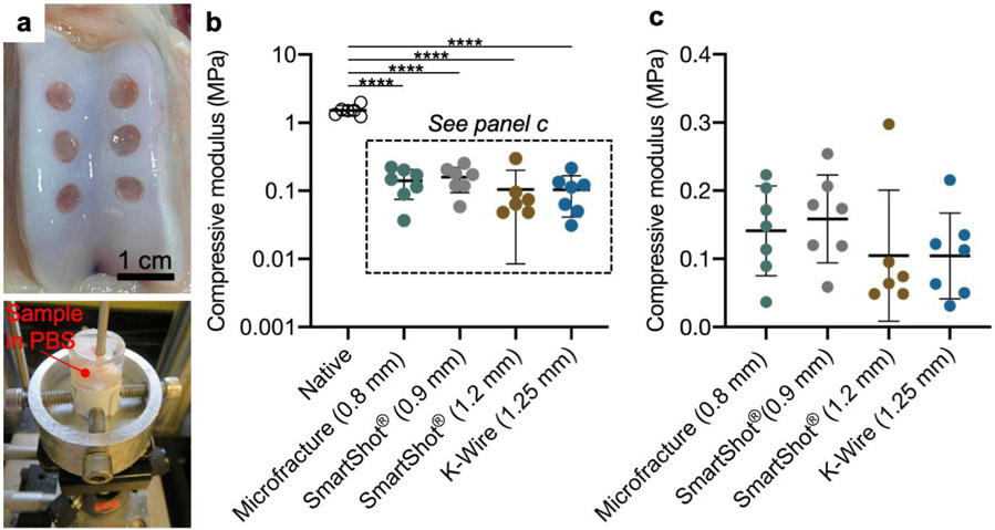 Marked differences in local bone remodelling in response to different marrow stimulation techniques in a large animal.