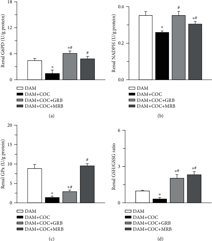 Suppression of Adenosine Deaminase and Xanthine Oxidase Activities by Mineralocorticoid and Glucocorticoid Receptor Blockades Restores Renal Antioxidative Barrier in Oral Contraceptive-Treated Dam.