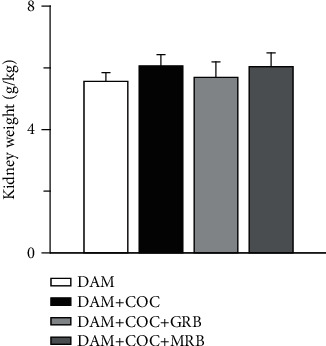 Suppression of Adenosine Deaminase and Xanthine Oxidase Activities by Mineralocorticoid and Glucocorticoid Receptor Blockades Restores Renal Antioxidative Barrier in Oral Contraceptive-Treated Dam.