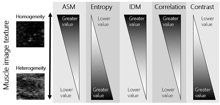 Quantitative Muscle Ultrasonography Using 2D Textural Analysis: A Novel Approach to Assess Skeletal Muscle Structure and Quality in Chronic Kidney Disease.