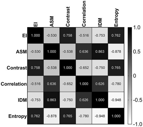 Quantitative Muscle Ultrasonography Using 2D Textural Analysis: A Novel Approach to Assess Skeletal Muscle Structure and Quality in Chronic Kidney Disease.