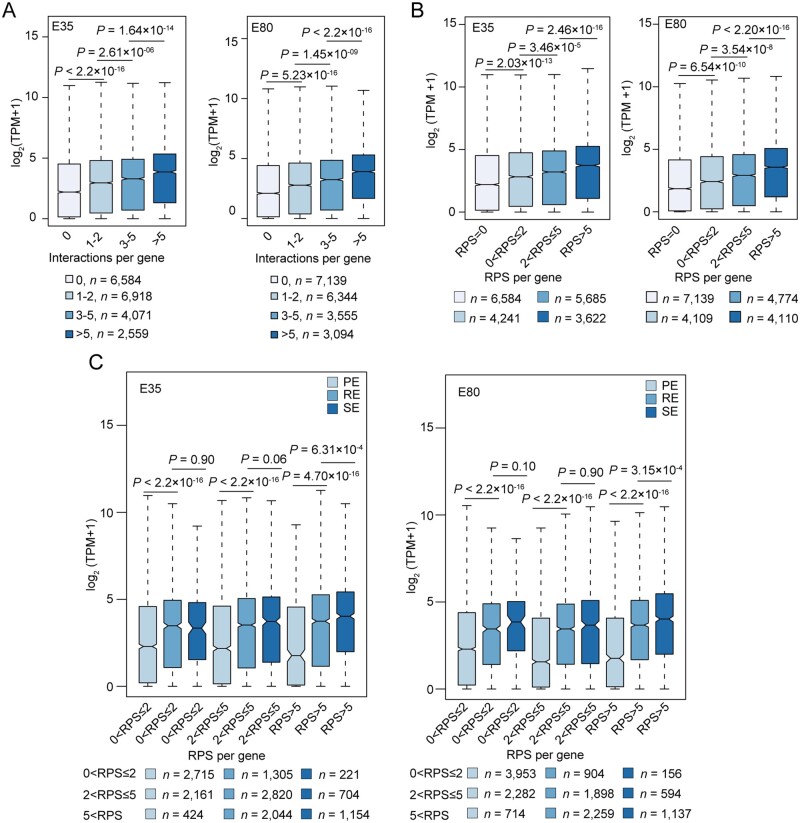 Reorganization of chromatin architecture during prenatal development of porcine skeletal muscle.