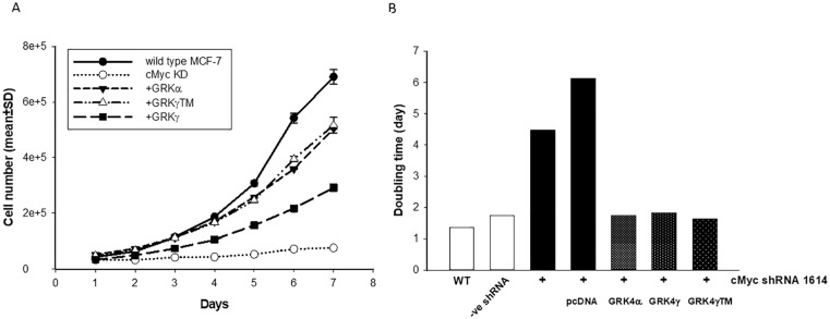 The Hypertension Related Gene G-Protein Coupled Receptor Kinase 4 Contributes to Breast Cancer Proliferation.