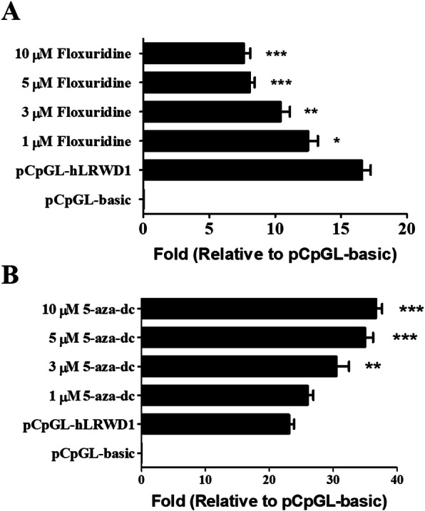 LRWD1 expression is regulated through DNA methylation in human testicular embryonal carcinoma cells.