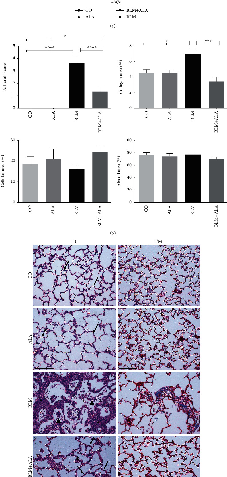 Assessment of Alamandine in Pulmonary Fibrosis and Respiratory Mechanics in Rodents.